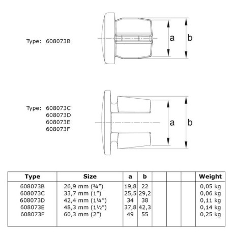 Bouchon métallique fin Type 184, 42,4 mm, Galvanisé (Klemp) Bouchon métallique fin Type 184, 42,4 mm, Galvanisé (Klemp)