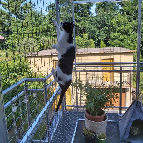 Voladera para gatos Catio CleanBase (Klemp) Voladera para gatos Catio CleanBase (Klemp)
