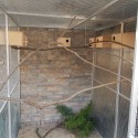 Voladera jaula para pajaros SafeFloor (Klemp)