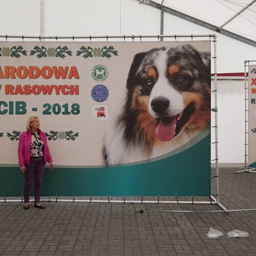 Ścianka reklamowa na wystawie psów rasowych w Rzeszowie
